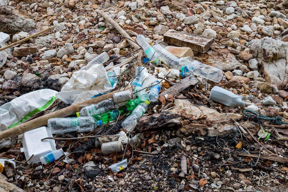 imgi_4_GettyImages-806149574