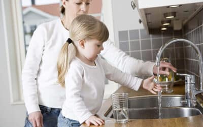 Bottled Water vs. Water Filters: What Should I Use?